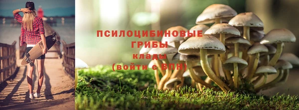 гидропоника Зеленодольск