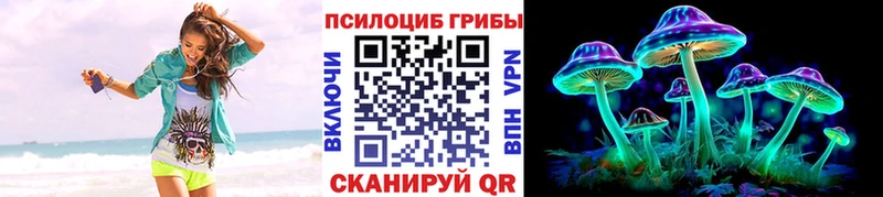 магазин продажи наркотиков  Ногинск  Галлюциногенные грибы ЛСД 