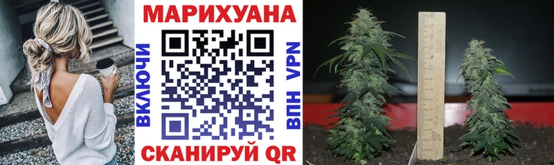 ОМГ ОМГ зеркало  Ногинск  Каннабис план 
